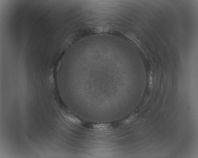 X0000074260516200608251229