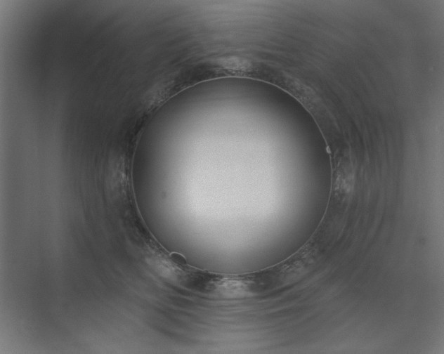 X0000074260518200608251229