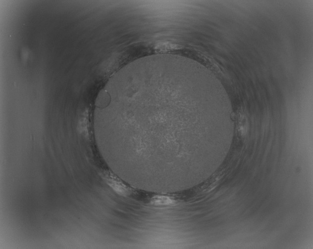 X0000074260519200608251229