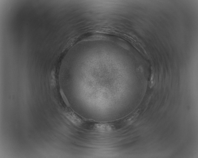 X0000074260520200608251229