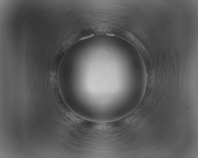 X0000074260521200608251229