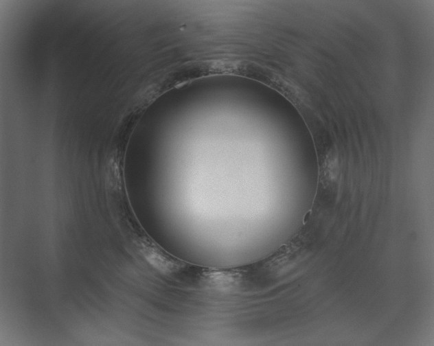 X0000074260522200608251229