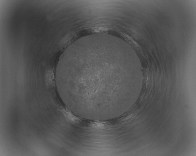 X0000074260523200608251229