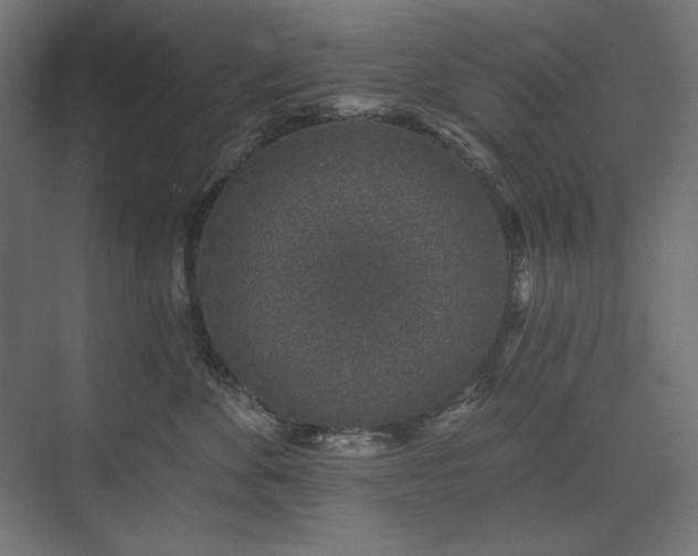 X0000074260524200608251229