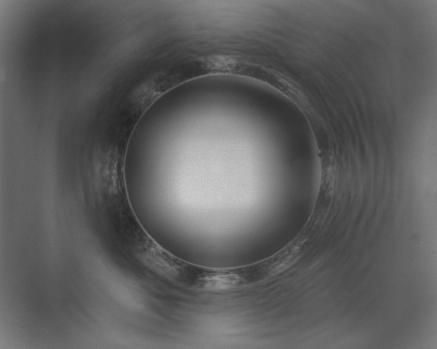 X0000074260525200608251229