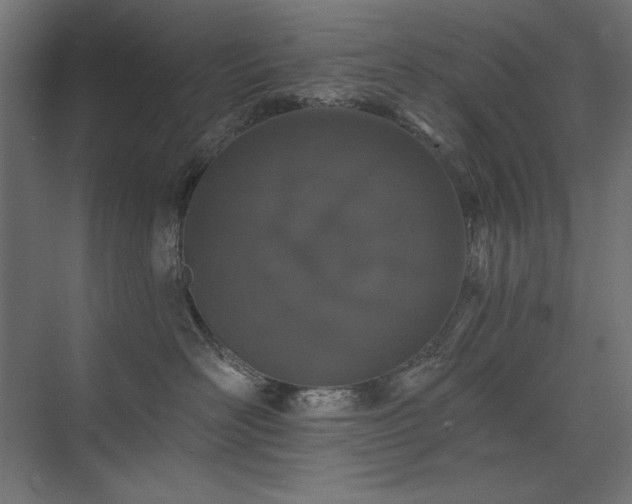 X0000074260526200608251229