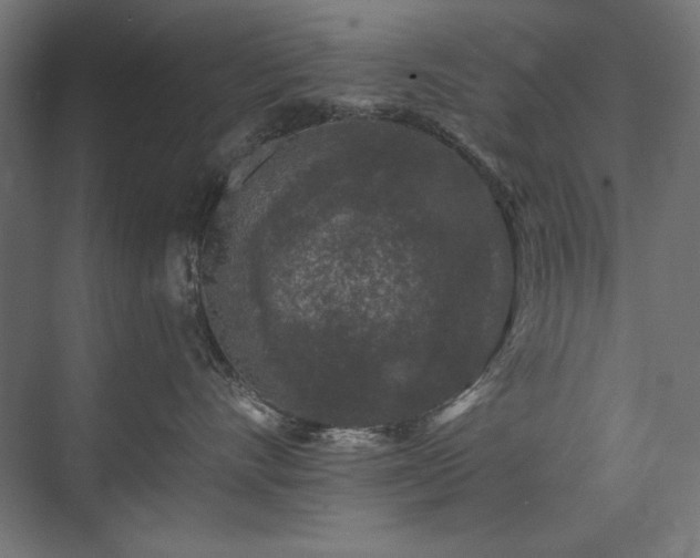 X0000074260528200608251229