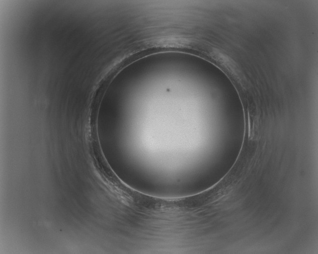 X0000074260531200608251228