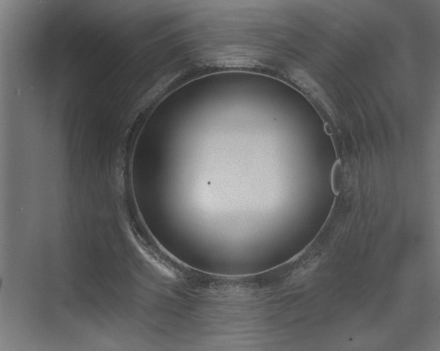 X0000074260533200608251228