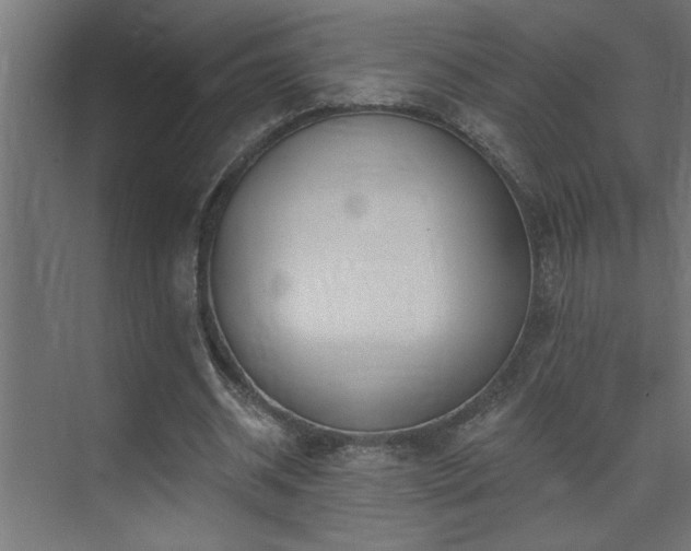 X0000074260534200608251228