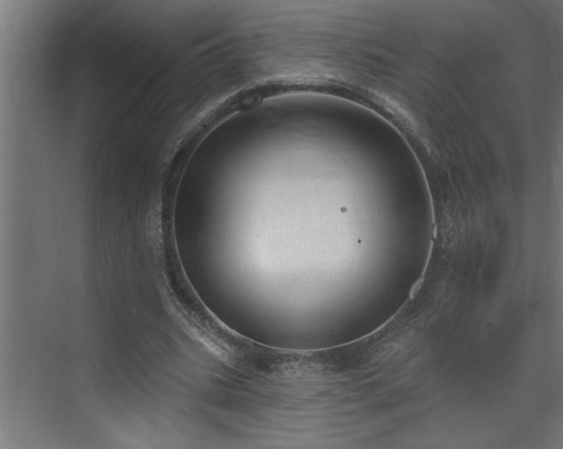 X0000074260535200608251228