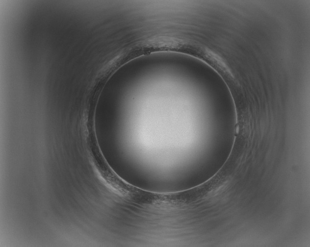 X0000074260538200608251229