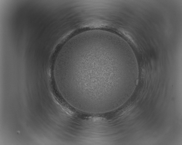 X0000074260539200608251229