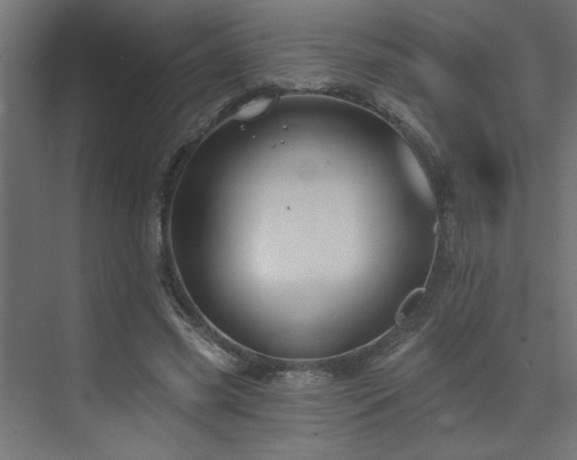 X0000074260541200608251229