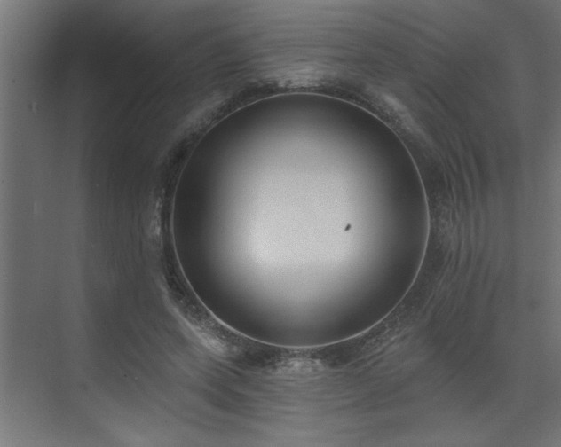 X0000074260543200608251229