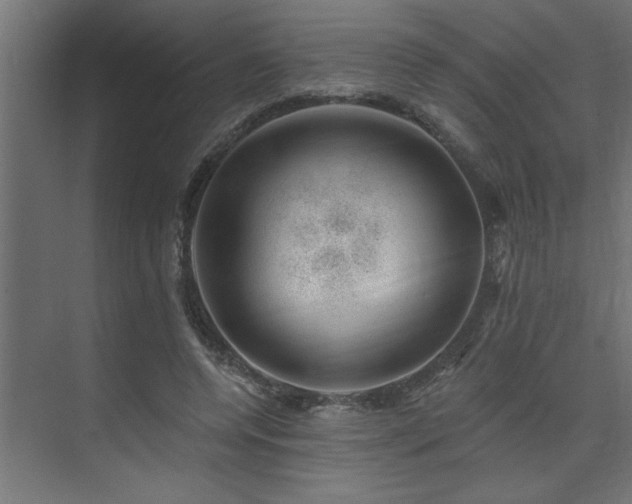 X0000074260544200608251229