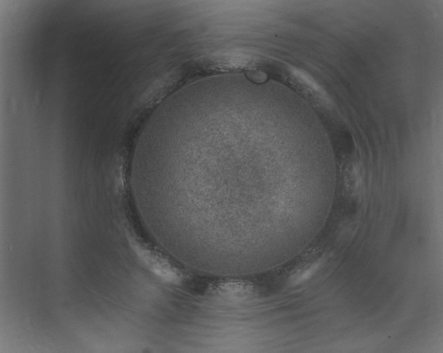 X0000074260546200608251229