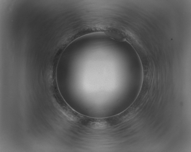 X0000074260548200608251229