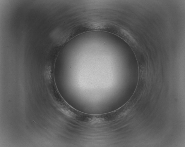 X0000074260549200608251229