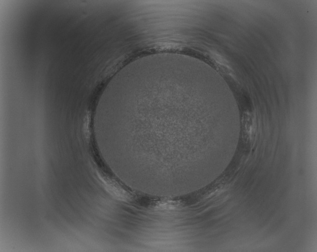 X0000074260550200608251229