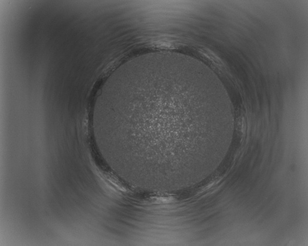 X0000074260552200608251229