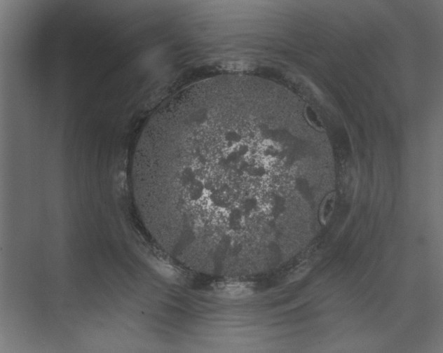 X0000074260553200608251229