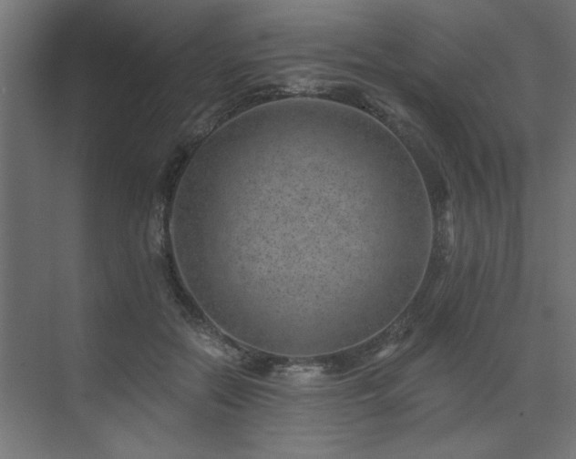 X0000074260554200608251229