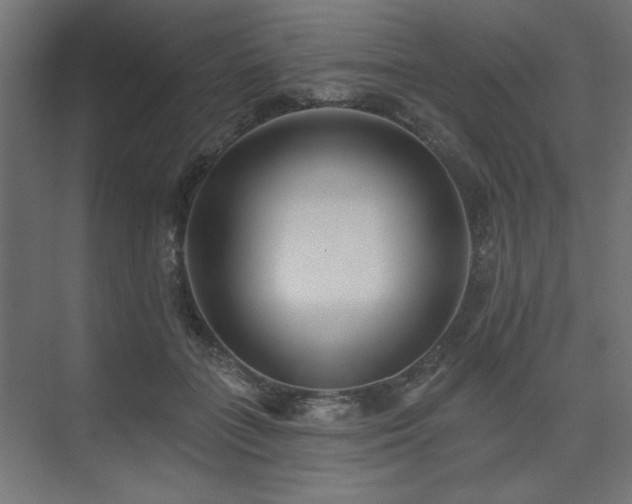 X0000074260555200608251229