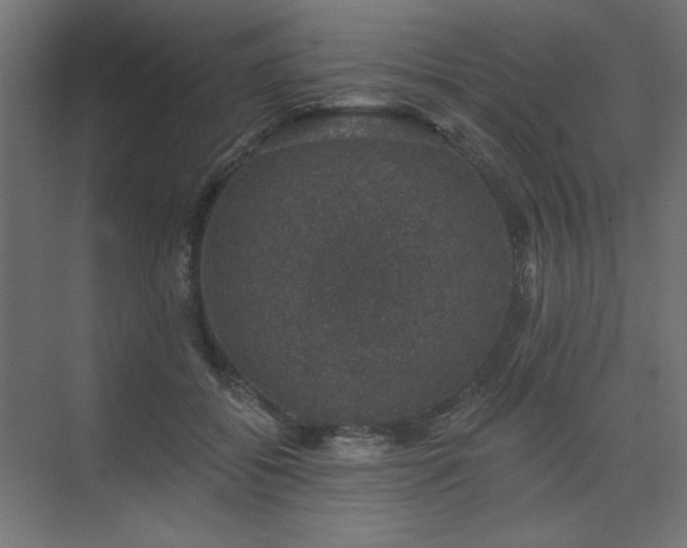 X0000074260556200608251229