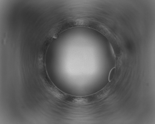 X0000074260557200608251229