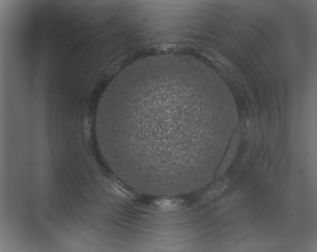 X0000074260558200608251229