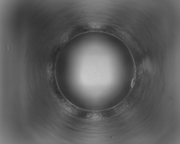 X0000074260559200608251229