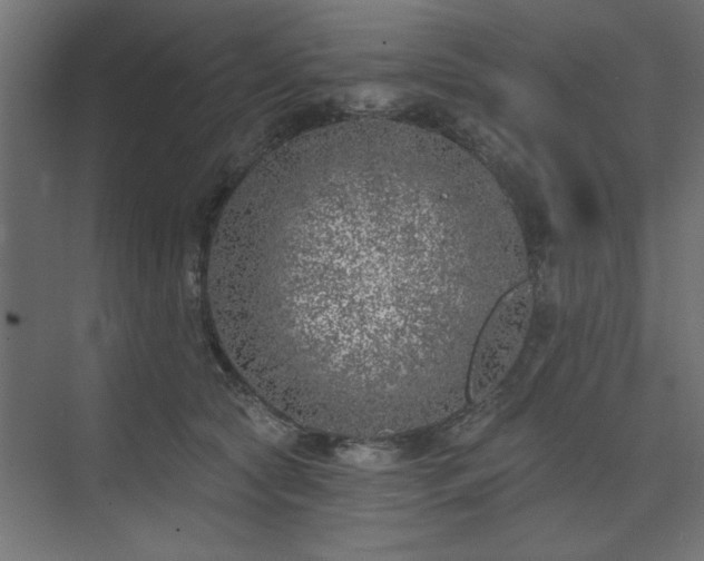 X0000074260561200608251229