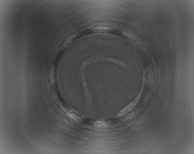 X0000074260562200608251229