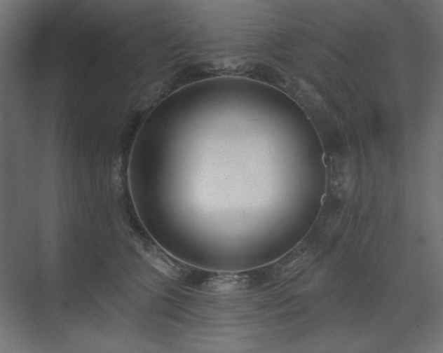 X0000074260563200608251229