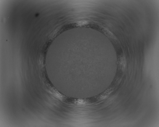 X0000074260565200608251229