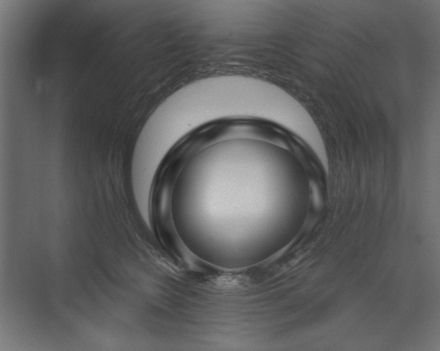 X0000074260566200608251229