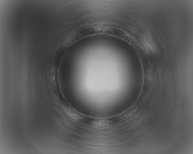 X0000074260567200608251229