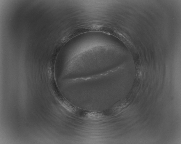 X0000074260568200608251229