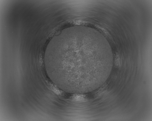 X0000074260569200608251229