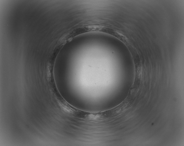 X0000074260570200608251229