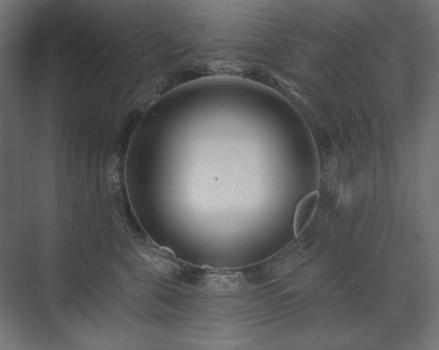 X0000074260571200608251229