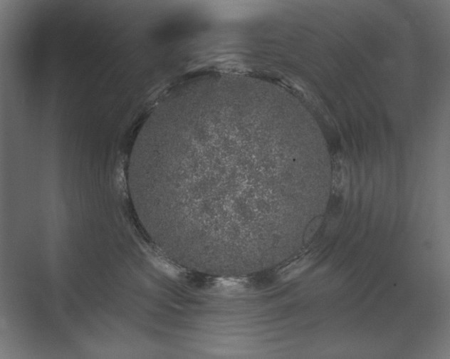 X0000074260573200608251229