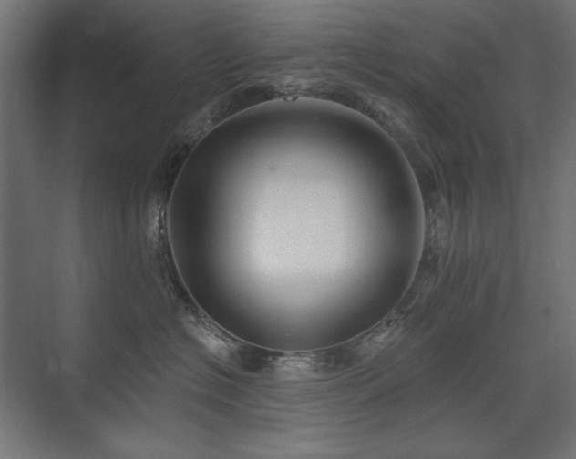 X0000074260574200608251229