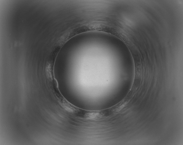 X0000074260575200608251229