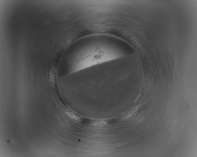 X0000074260576200608251229