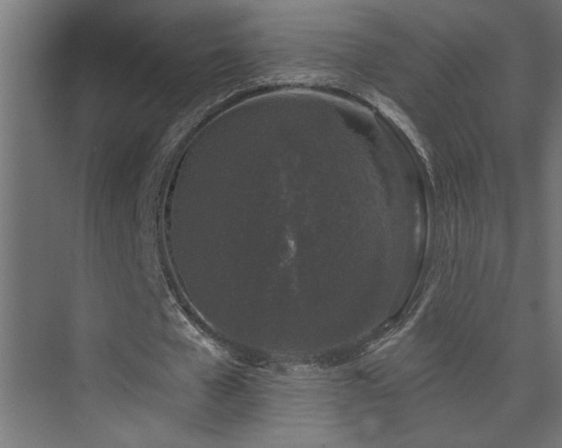 X0000074260577200608251228