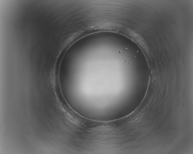 X0000074260578200608251228