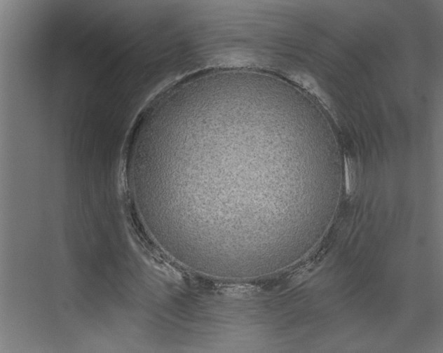 X0000074260579200608251228