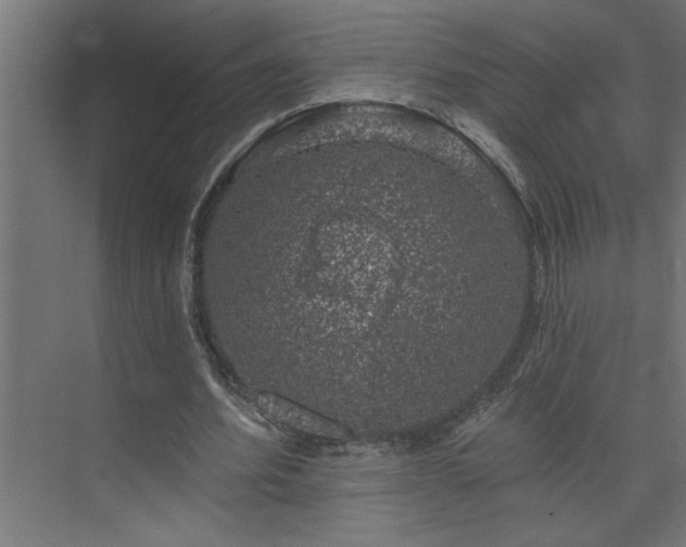 X0000074260580200608251228